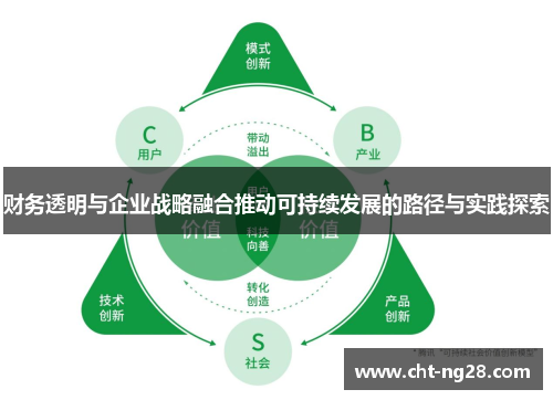 财务透明与企业战略融合推动可持续发展的路径与实践探索